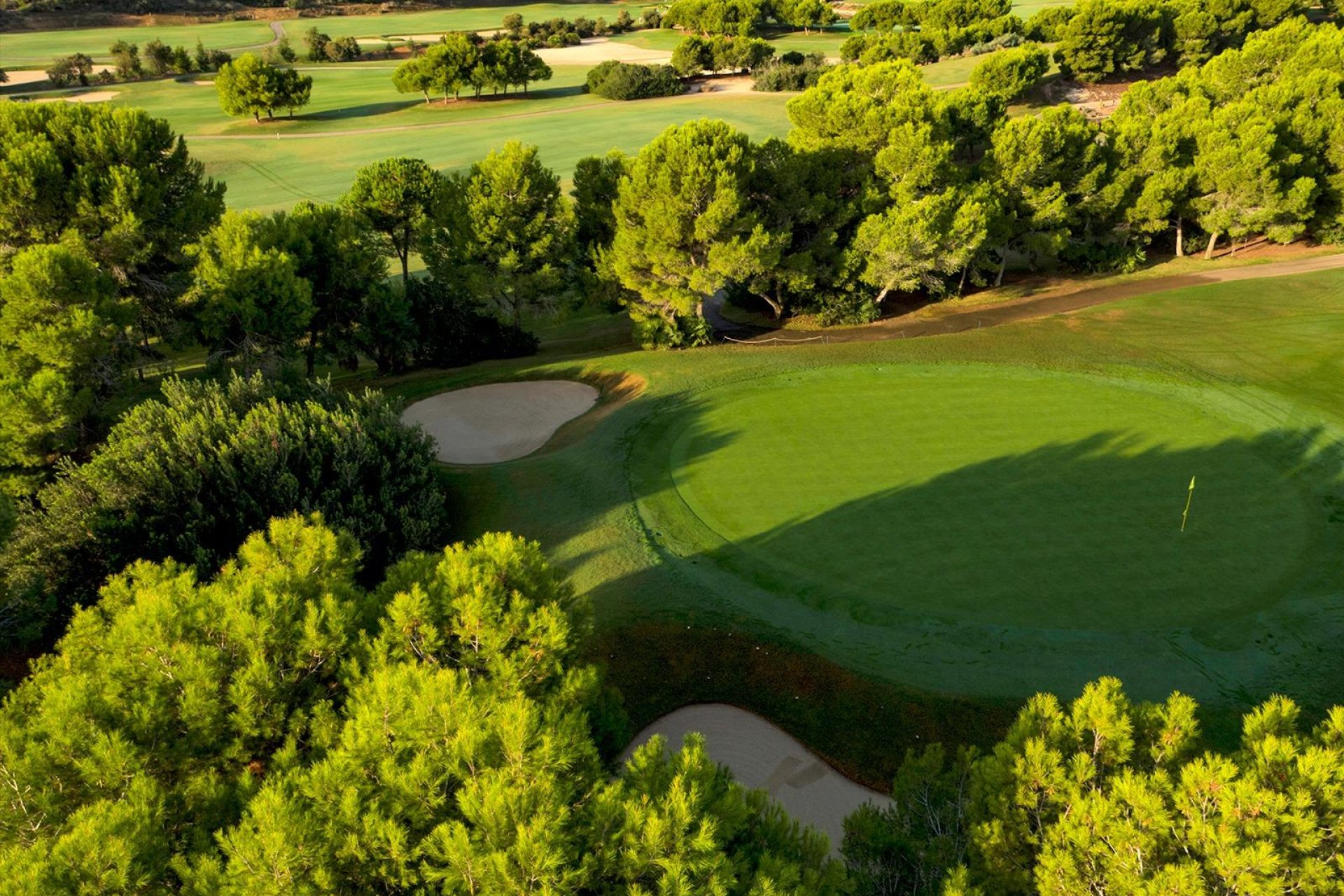 New Build - Villa * - Pilar de la Horadada * - Lo Romero Golf *