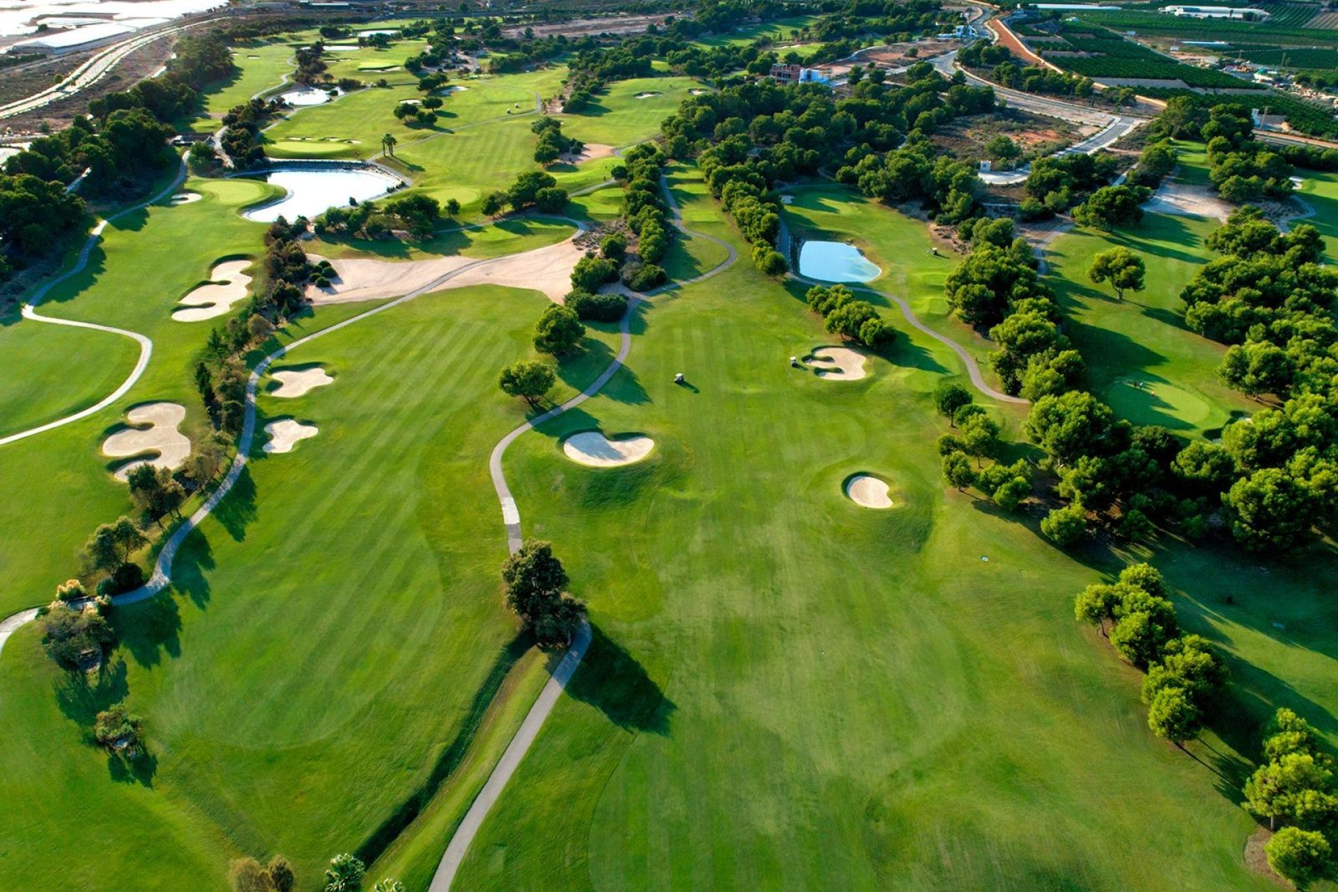 New Build - Villa * - Pilar de la Horadada * - Lo Romero Golf *