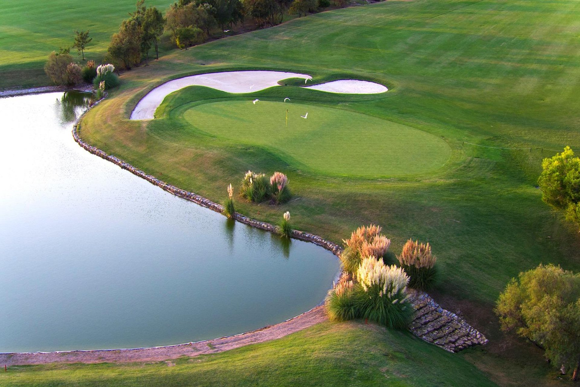 New Build - Villa * - Pilar de la Horadada * - Lo Romero Golf *