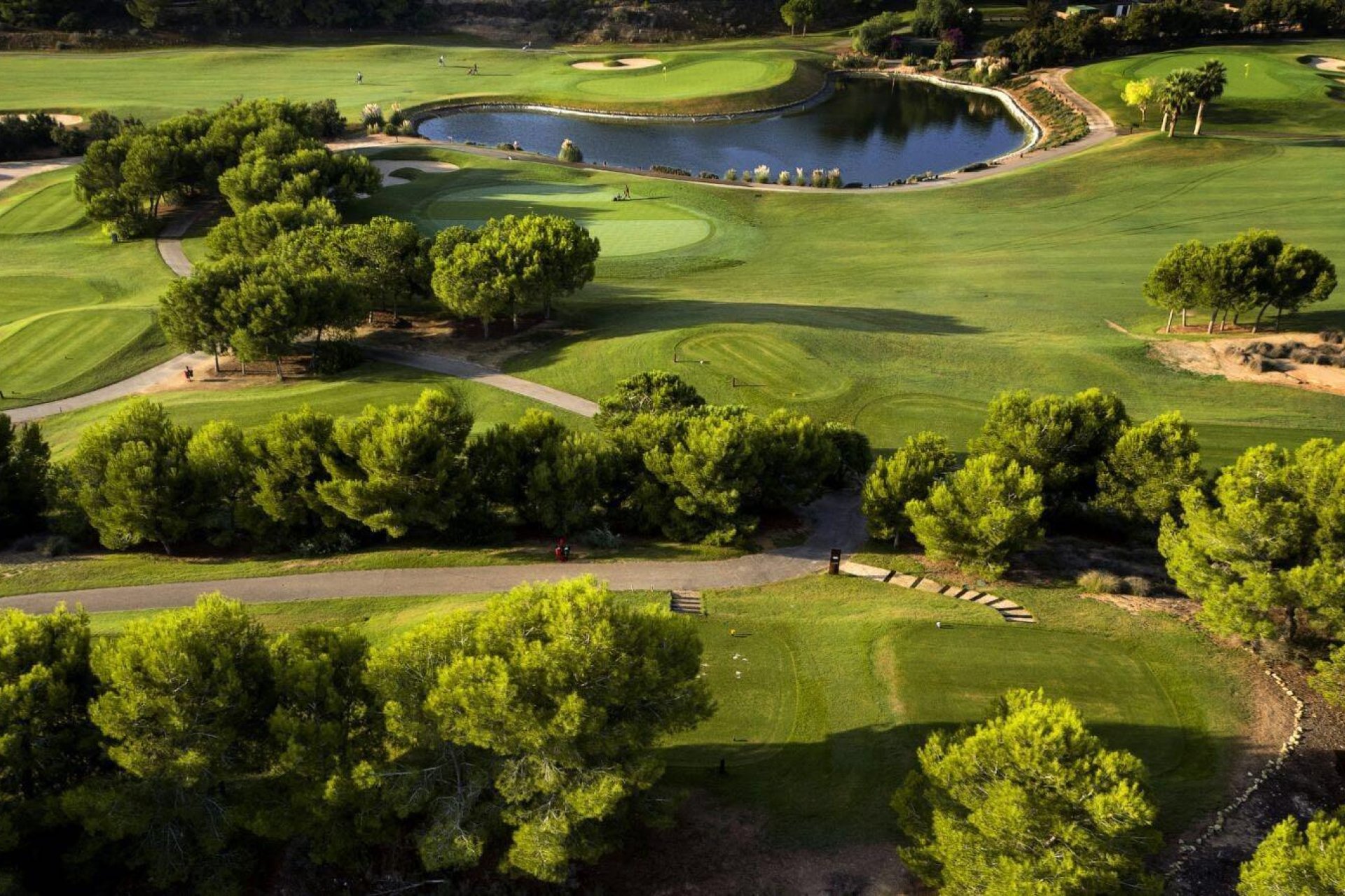 New Build - Villa * - Pilar de la Horadada * - Lo Romero Golf *