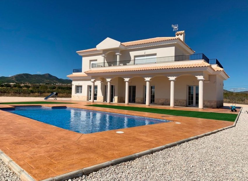 New Build - Villa - Pinoso - Camino Del Prado