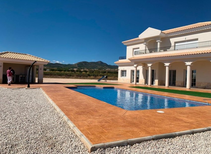 New Build - Villa - Pinoso - Camino Del Prado