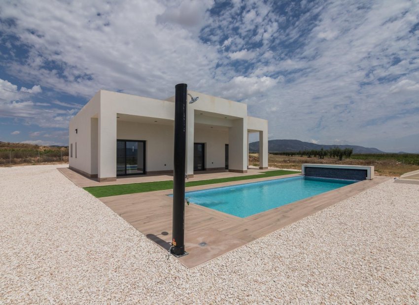 New Build - Villa - Pinoso - Campo