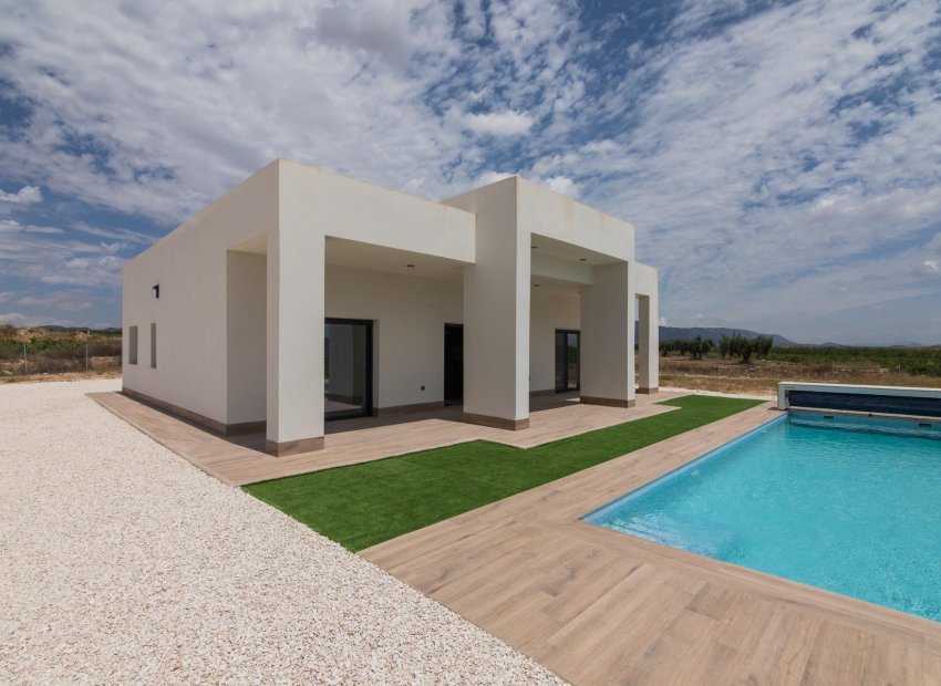 New Build - Villa - Pinoso - Campo