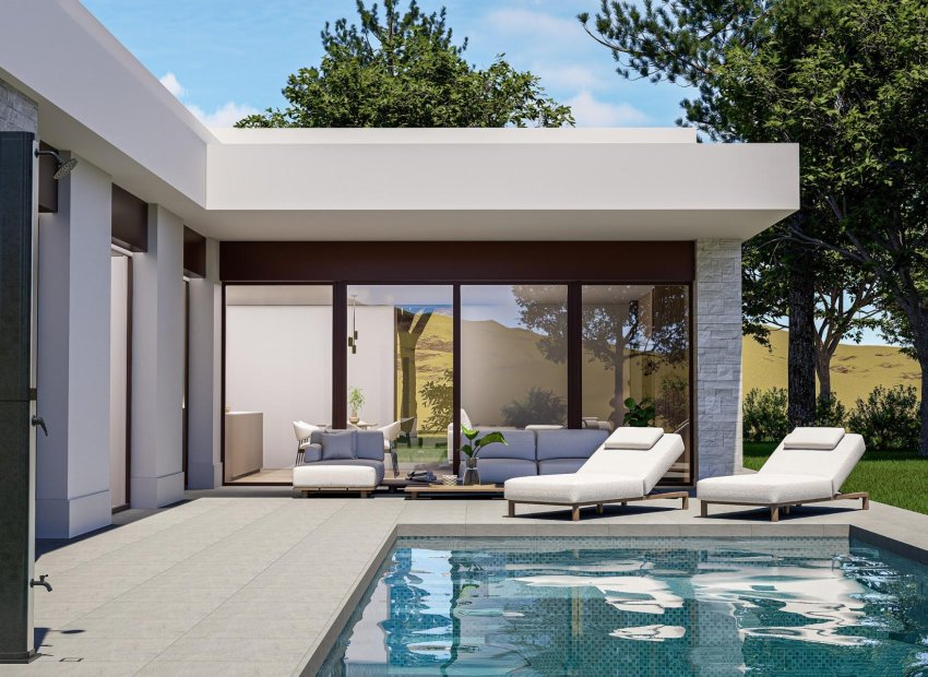 New Build - Villa * - Pinoso * - Lel