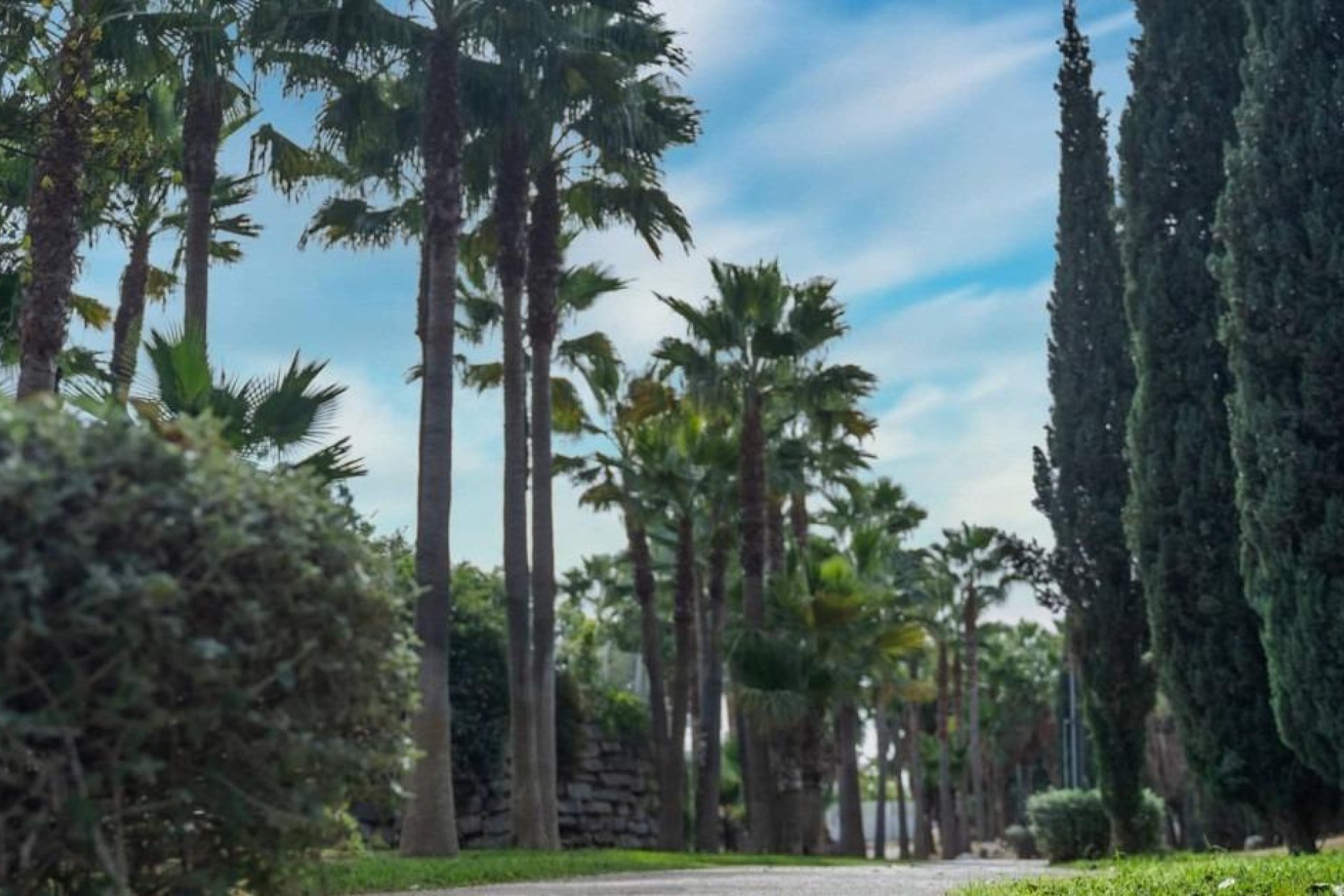 Nieuwbouw Woningen - Appartement - Fuengirola - El Higuerón