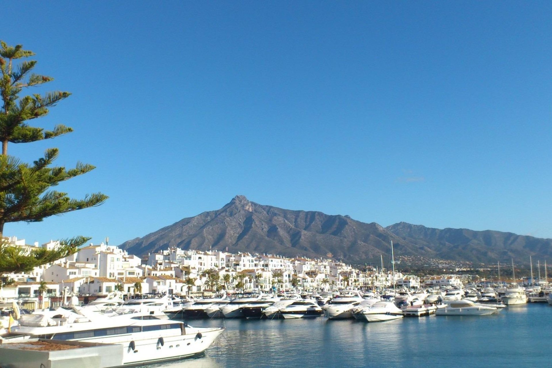 Nieuwbouw Woningen - Appartement - Marbella - Nueva Andalucia