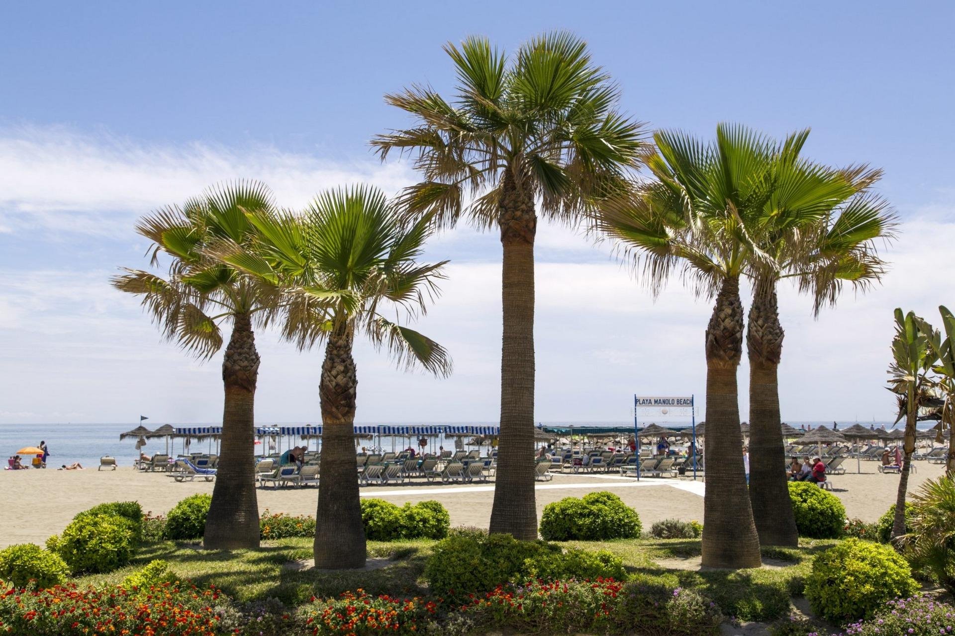 Nieuwbouw Woningen - Appartement - Mijas - Hipódromo Costa del Sol