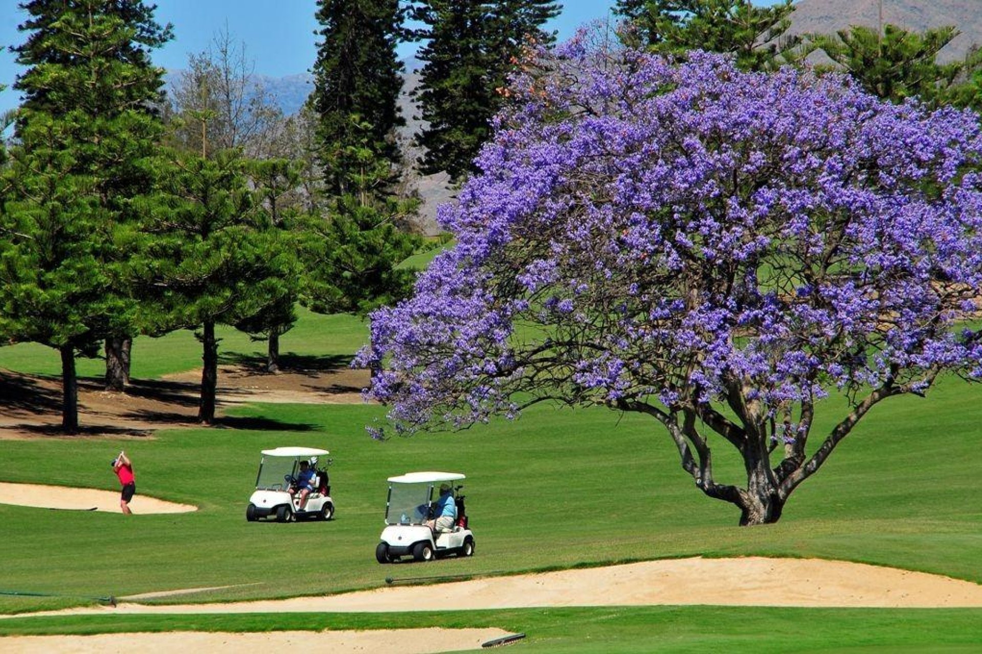 Nieuwbouw Woningen - Appartement - Mijas - La Noria Golf