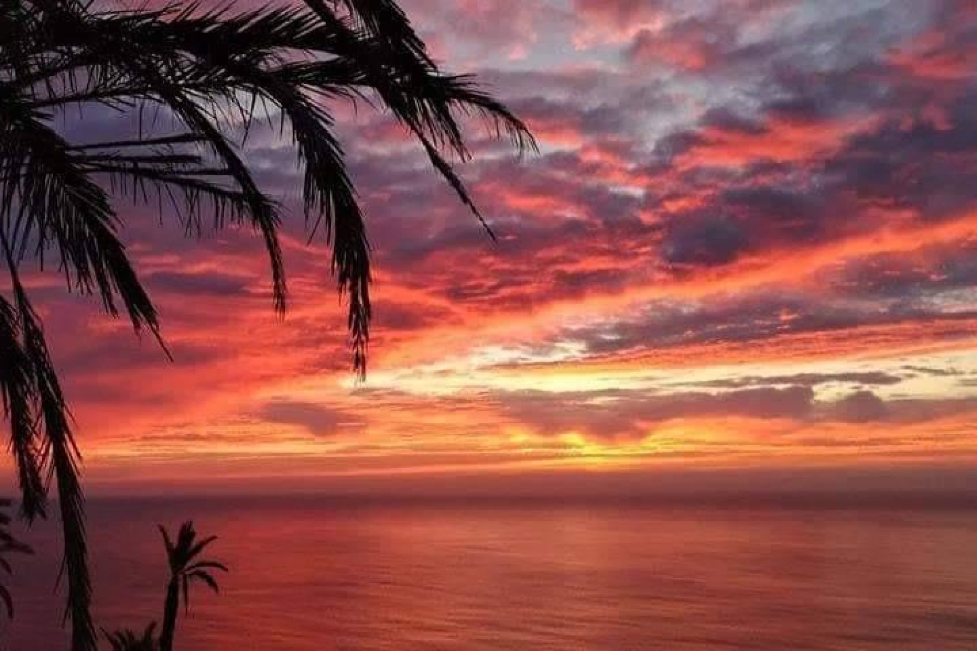 Nieuwbouw Woningen - Appartement - Torrevieja