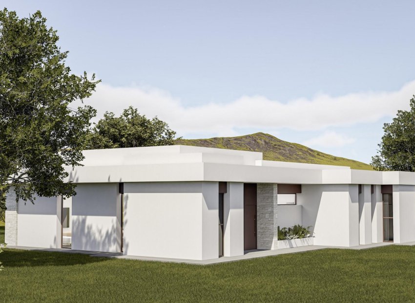 Nieuwbouw Woningen - Villa - Pinoso - Lel