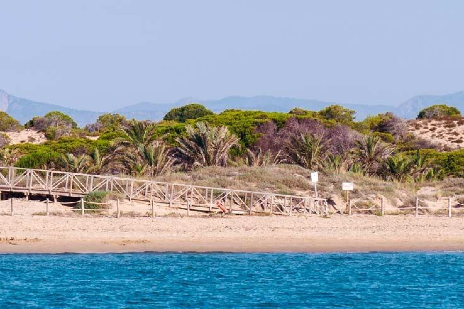 Nouvelle construction - Appartement - Guardamar del Segura