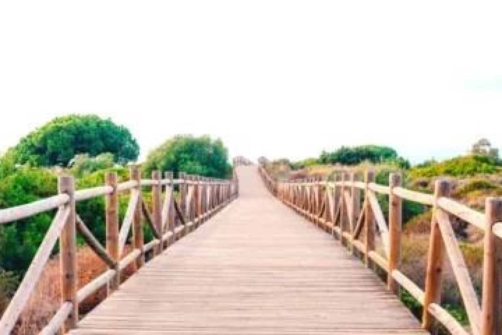 Nouvelle construction - Appartement - Marbella - Cabopino Golf