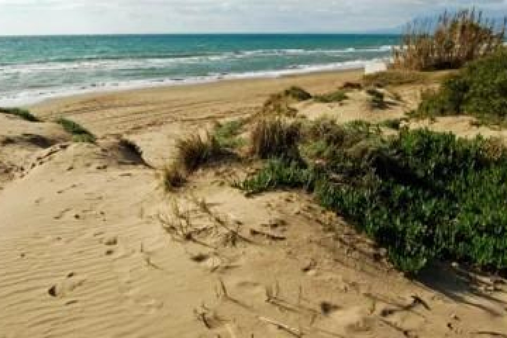 Nouvelle construction - Appartement - Marbella - Costa del Sol