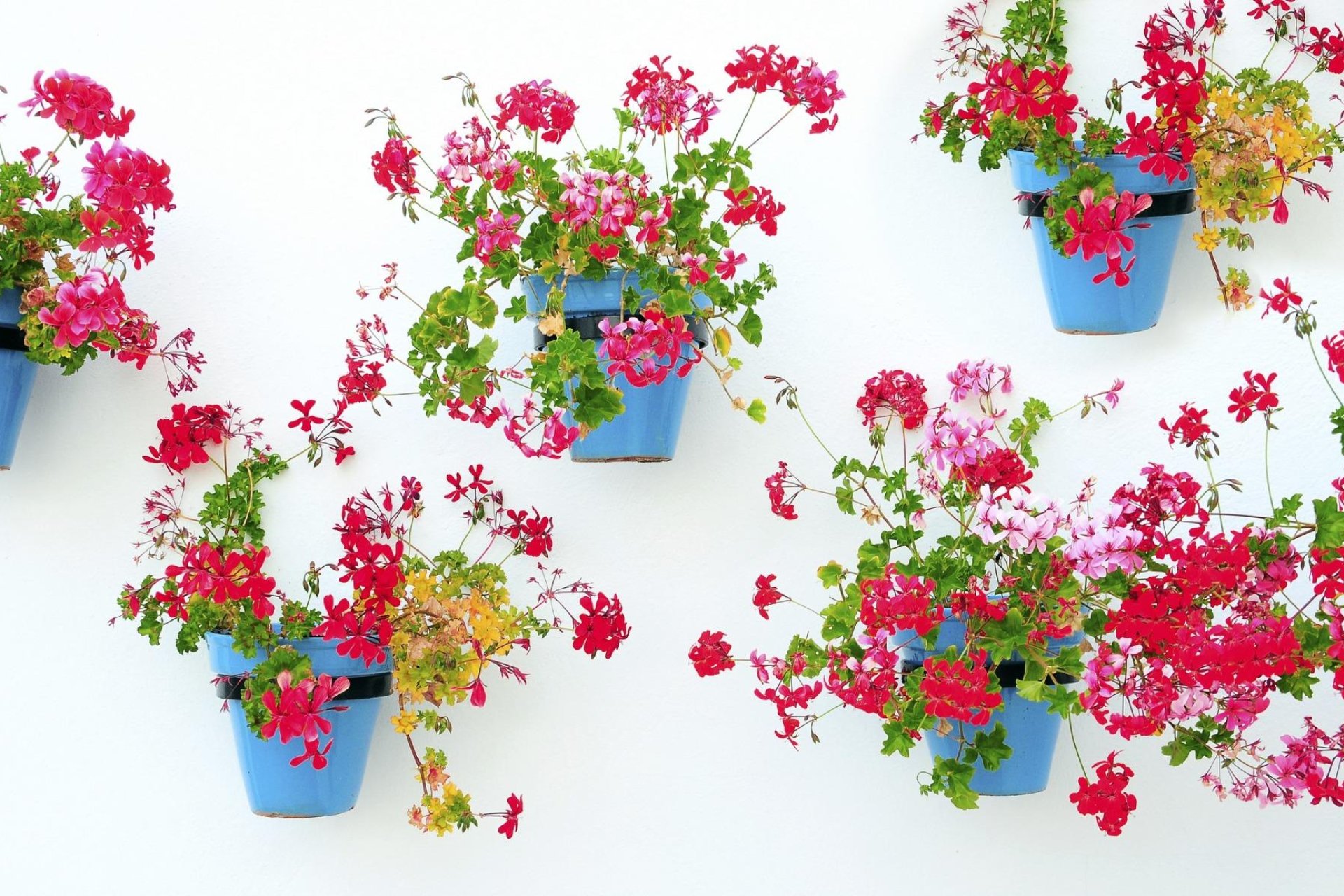 Nouvelle construction - Appartement - Mijas - Costa del Sol