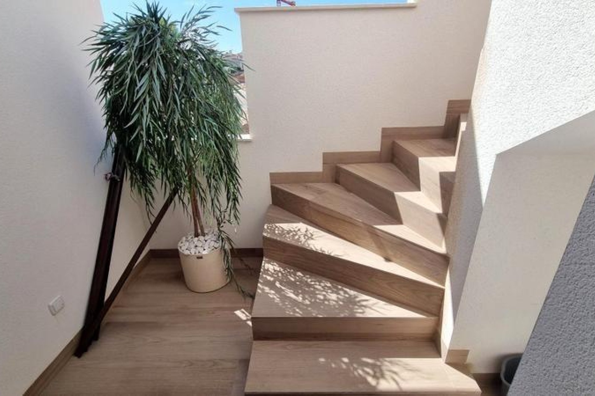 Nouvelle construction - Bungalow - Torrevieja - Eliseos playa