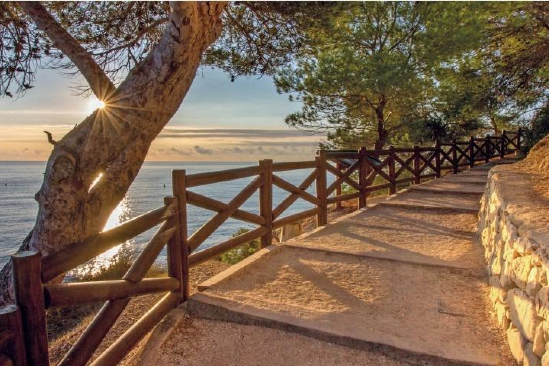 Nouvelle construction - Villa - Benissa