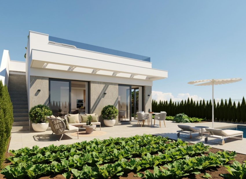 Nouvelle construction - Villa - Fuente Álamo - Hacienda del Alamo