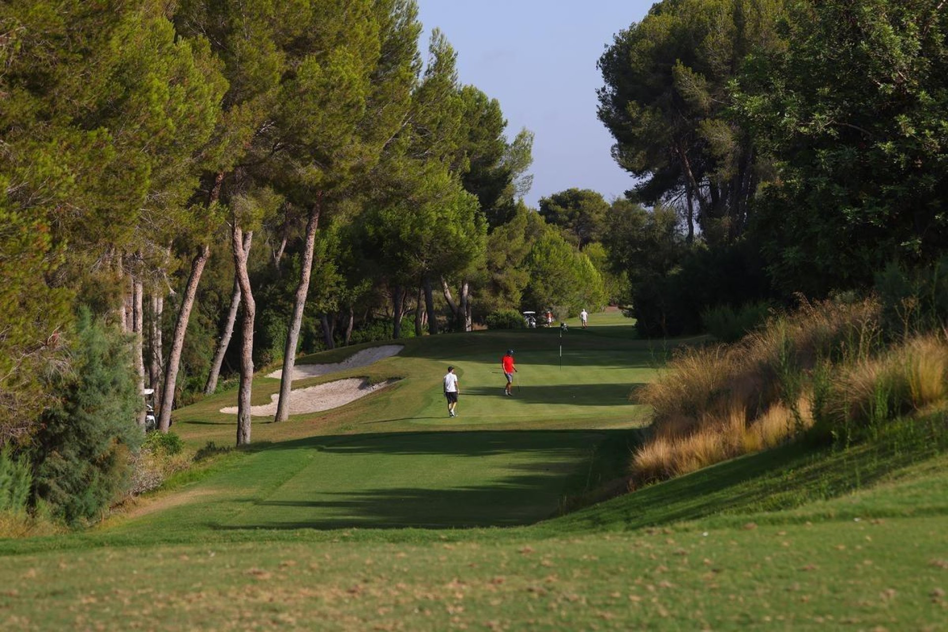 Nouvelle construction - Villa - Orihuela - Las Colinas Golf Resort