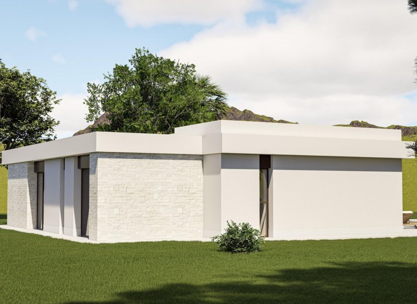 Nouvelle construction - Villa - Pinoso - Lel