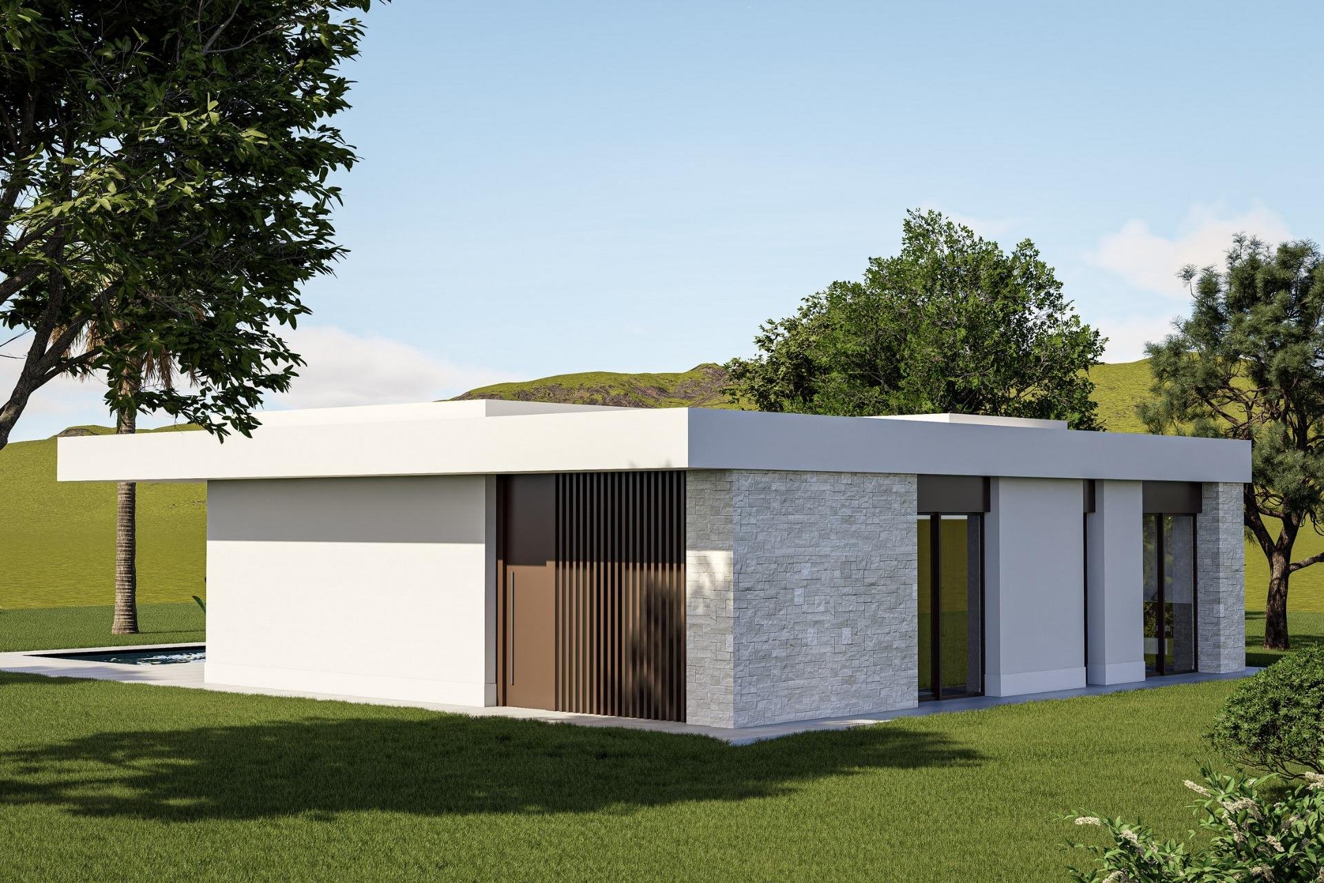 Nouvelle construction - Villa - Pinoso - Lel
