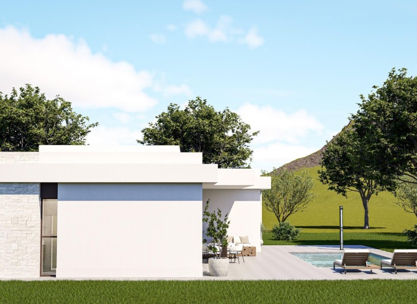 Nouvelle construction - Villa - Pinoso - Lel