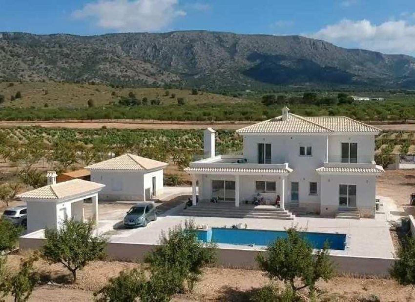 Nouvelle construction - Villa - Pinoso