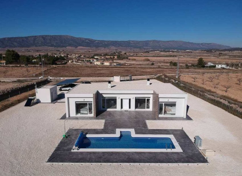 Nouvelle construction - Villa - Pinoso