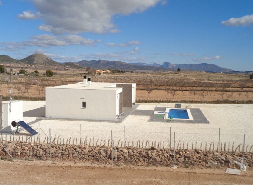 Nouvelle construction - Villa - Pinoso