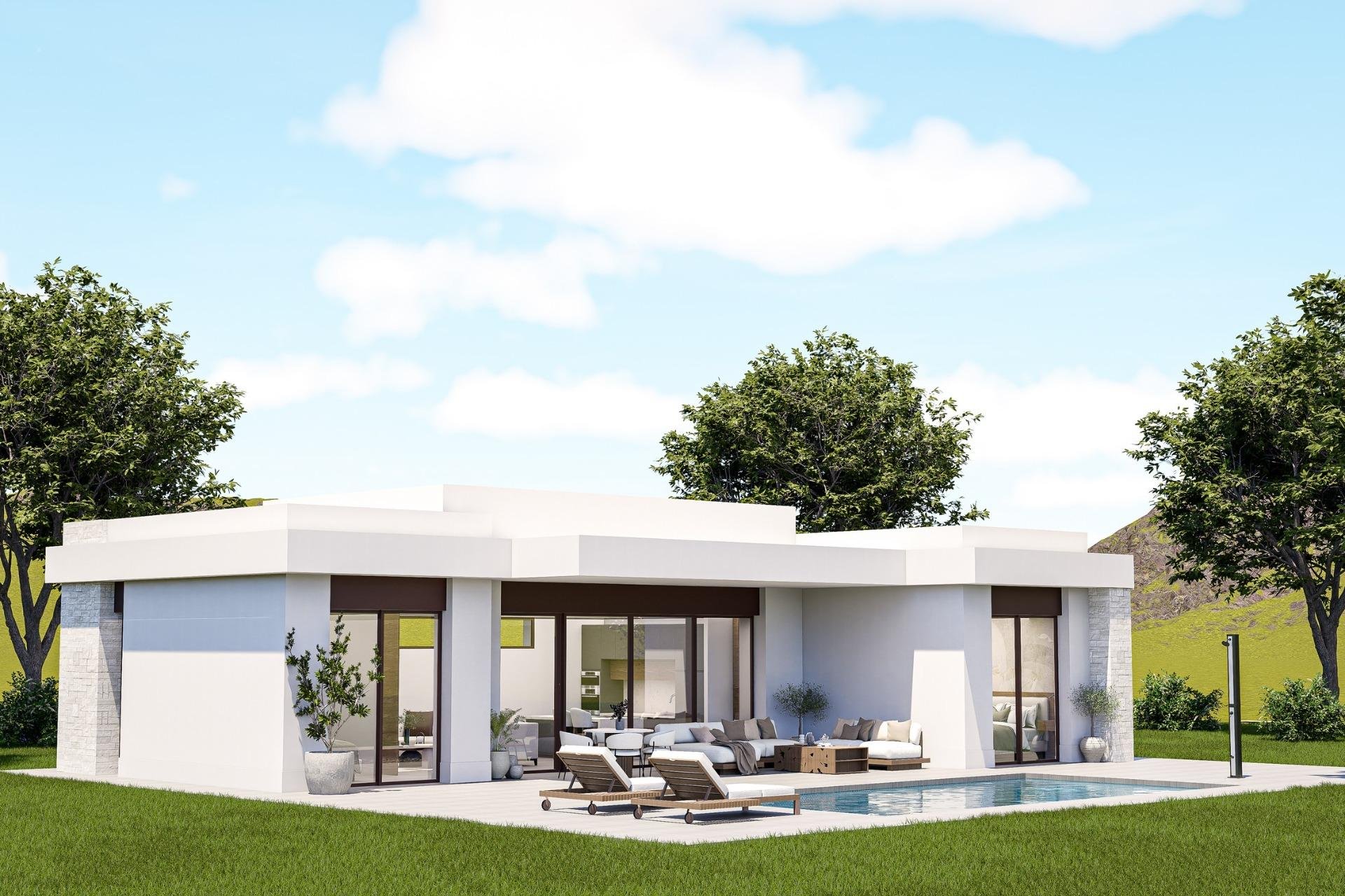 Nouvelle construction - Villa - Pinoso