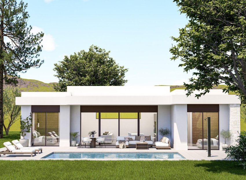 Nouvelle construction - Villa - Pinoso