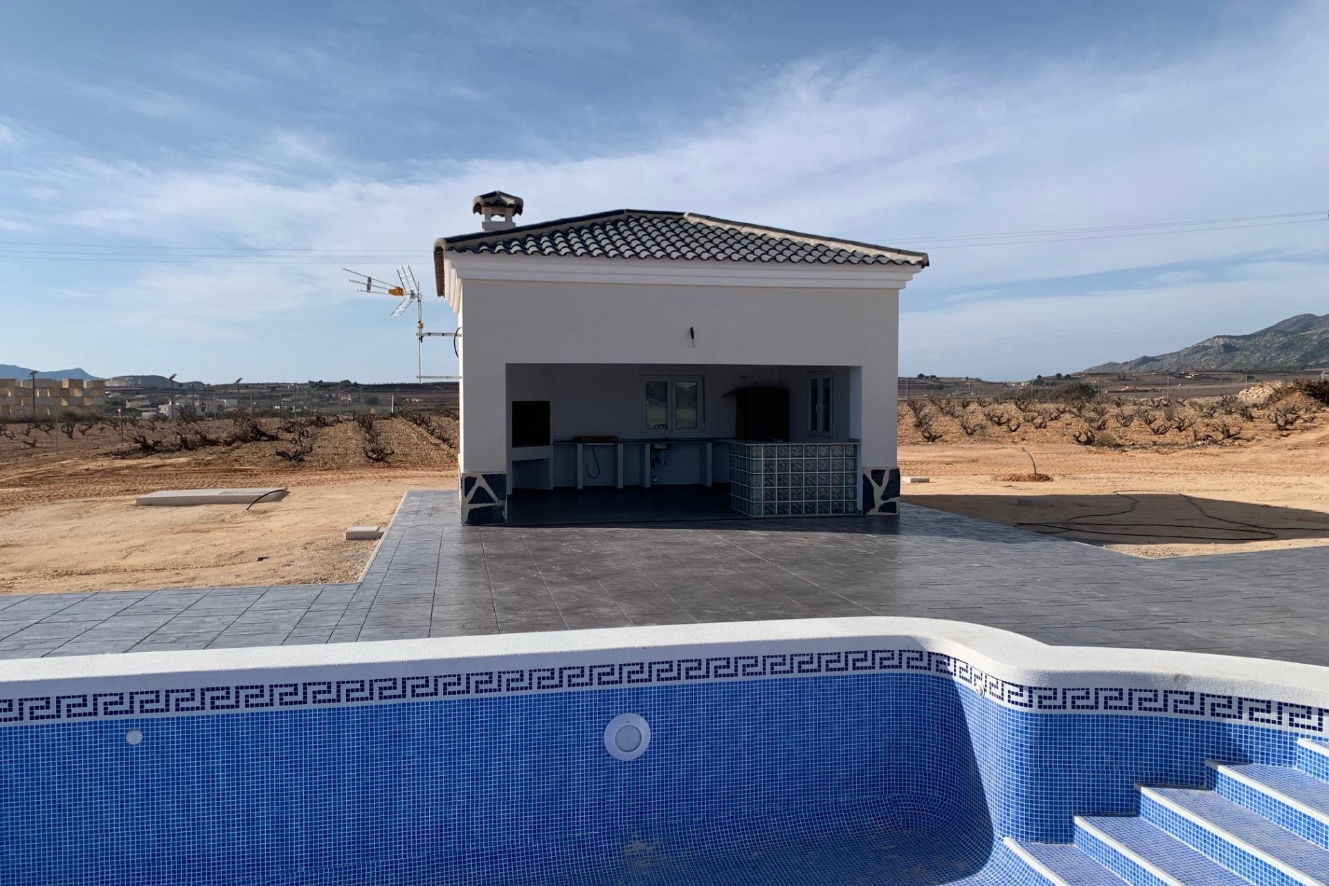 Nouvelle construction - Villa - Pinoso