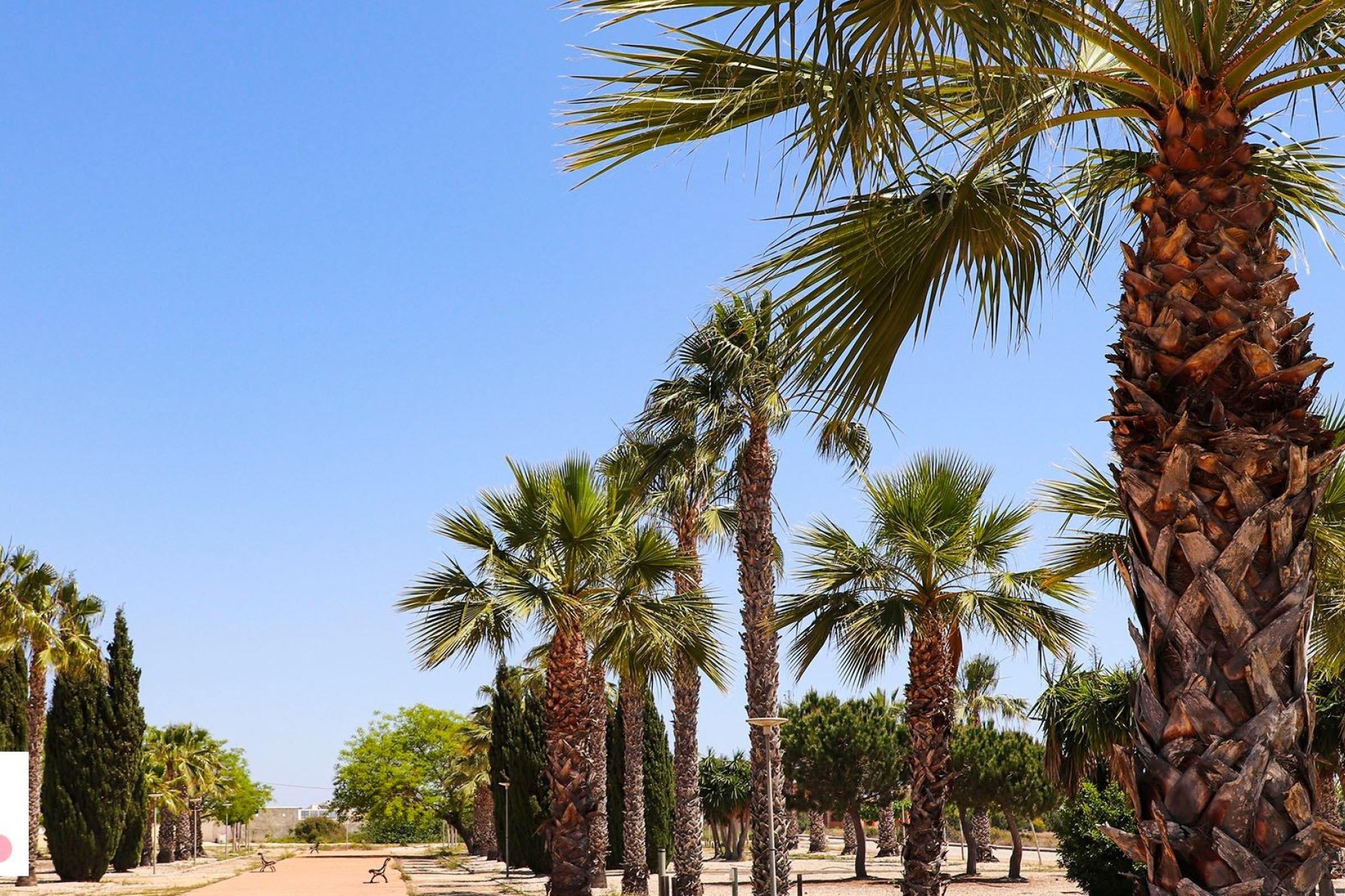 Nouvelle construction - Villa - San Fulgencio