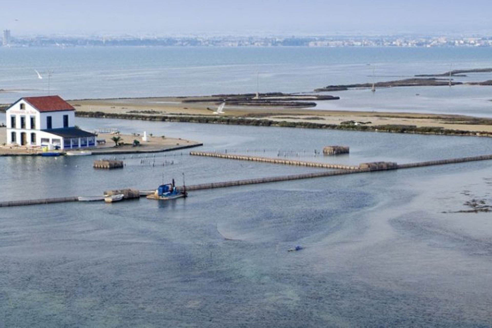 Nouvelle construction - Villa - San Pedro del Pinatar - San Pedro De Pinatar