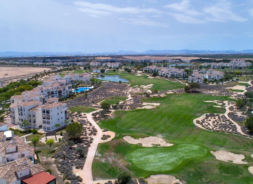 Nouvelle construction - Villa - Sucina