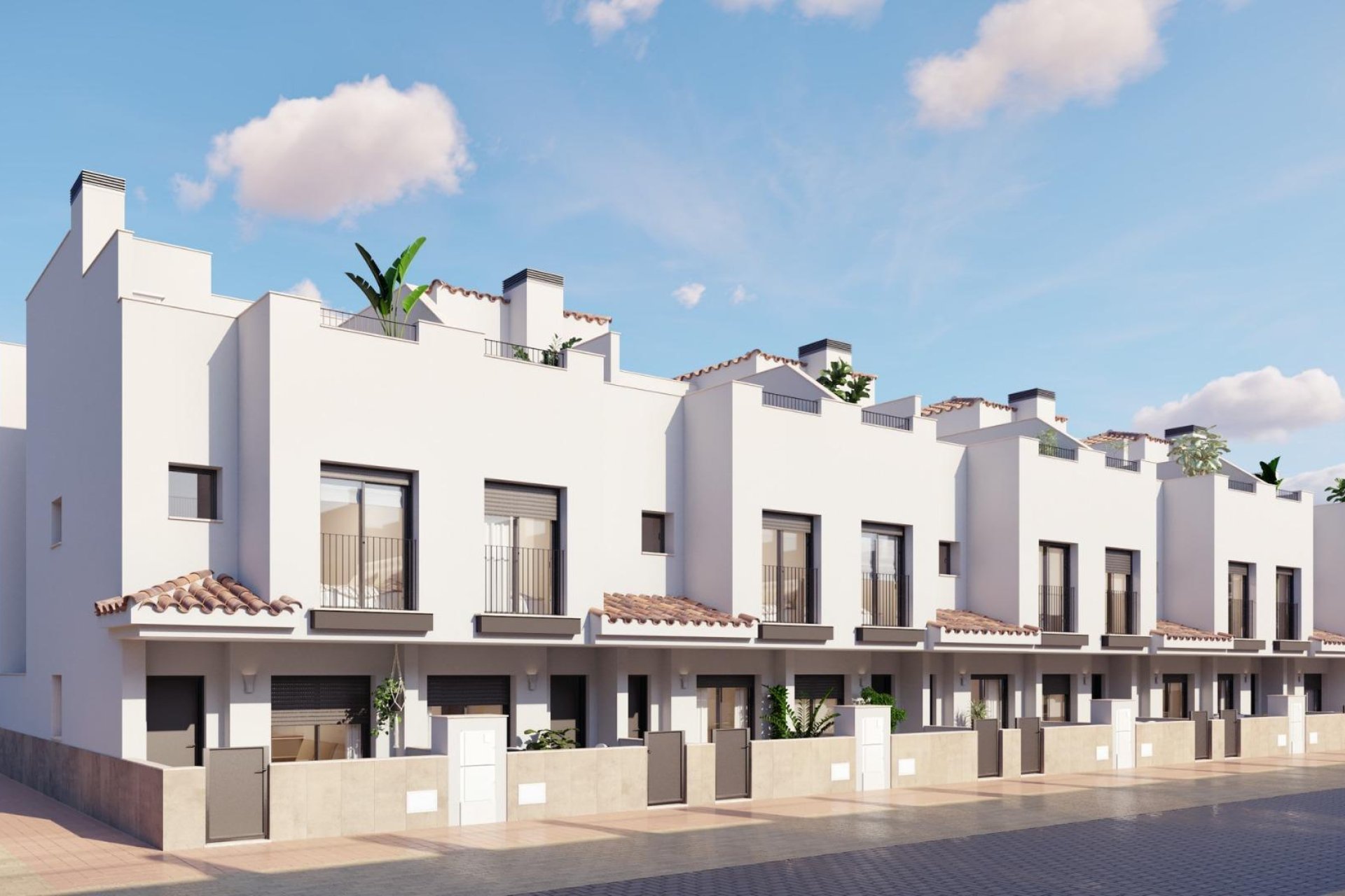 Obra nueva - Casa adosada - Torre Pacheco - Santa Rosalia