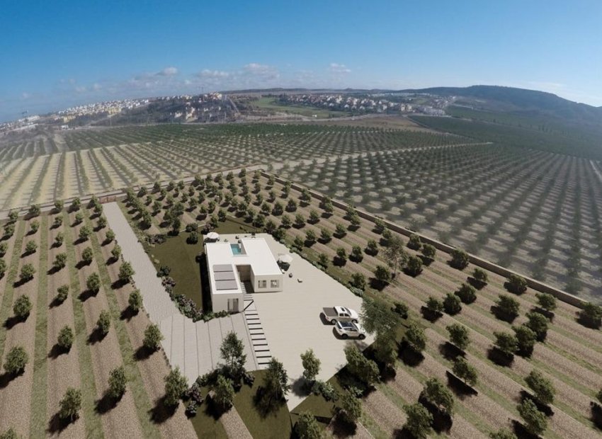 Obra nueva - Villa - Algorfa