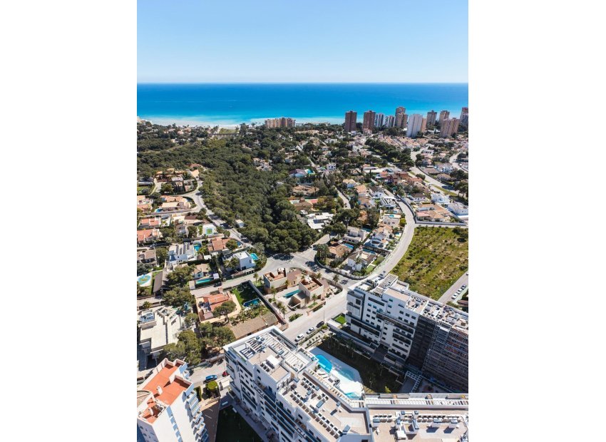 Obra nueva - Villa - Orihuela Costa - Dehesa de campoamor