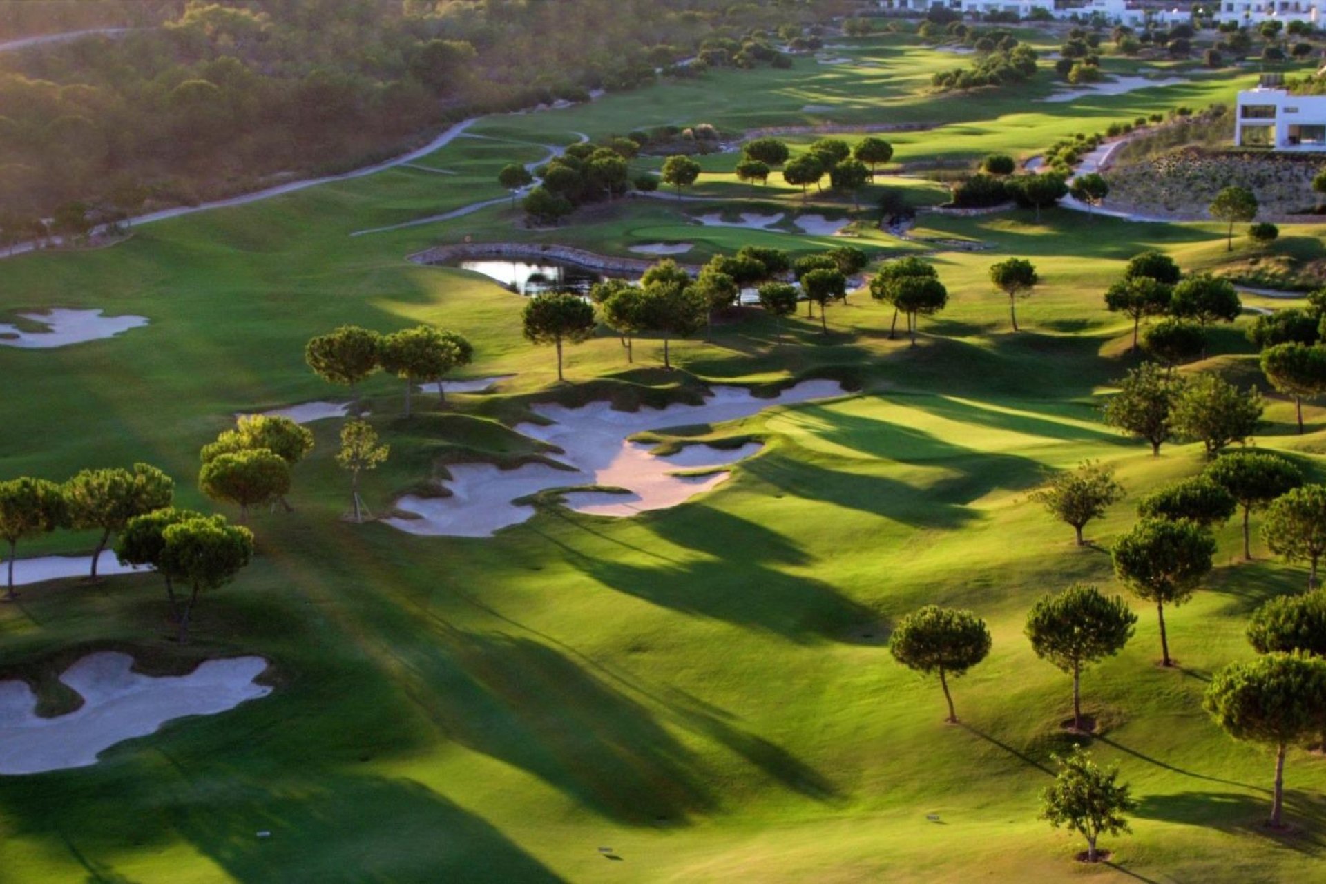 Obra nueva - Villa - Orihuela - Las Colinas Golf Resort