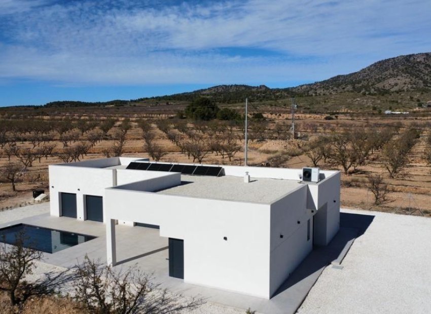 Obra nueva - Villa - Pinoso - Campo