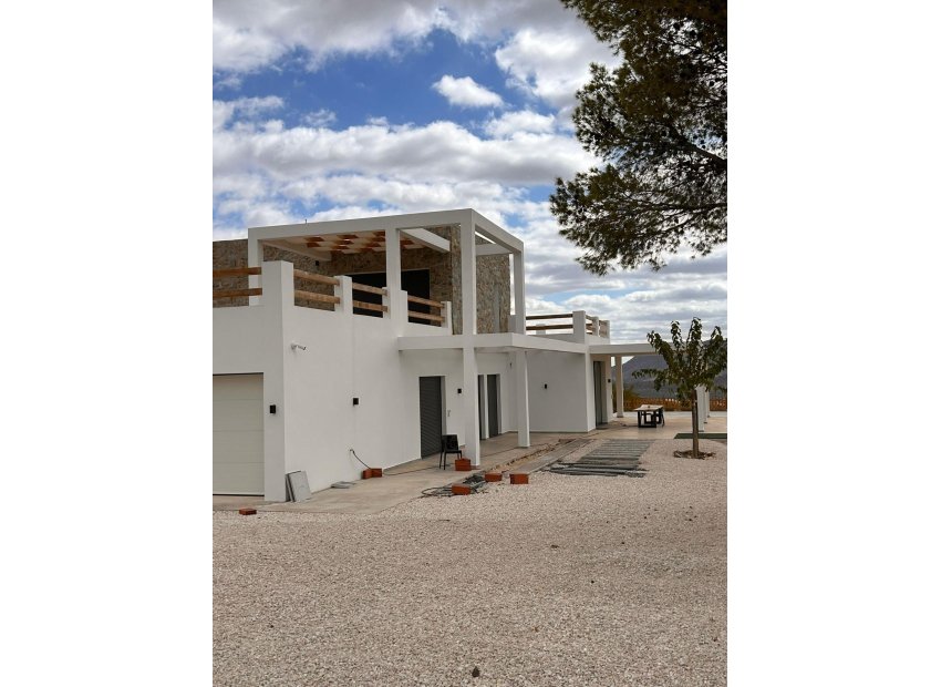 Obra nueva - Villa - Pinoso - Casas Pastor