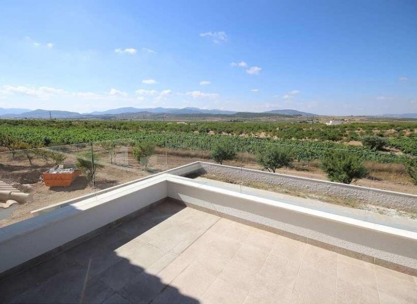 Obra nueva - Villa - Pinoso