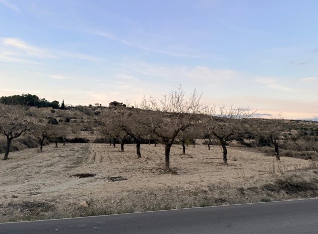 Parcela - Reventa - Torremendo - Costa Blanca