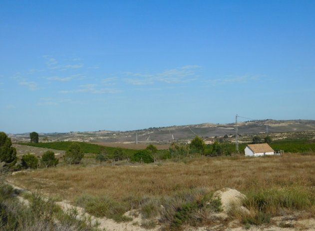 Parcela - Reventa - Torremendo - DSC-42459