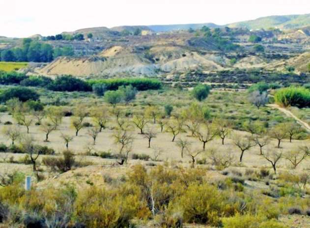 Parcela - Reventa - Torremendo - Torremendo