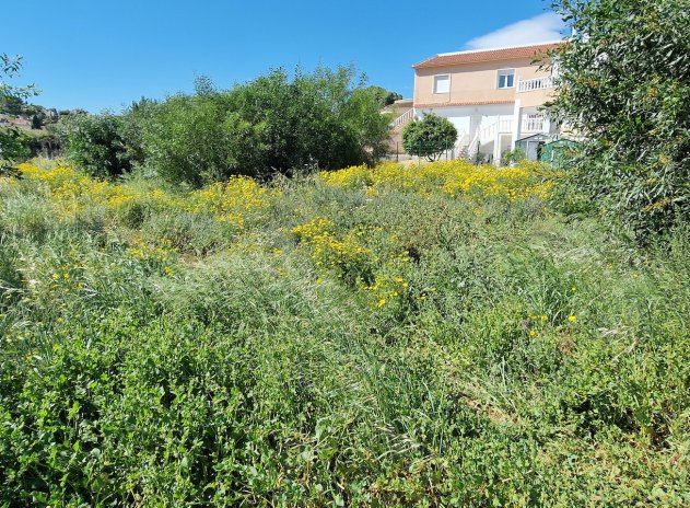 Parcela - Reventa - Torrevieja - Torrevieja
