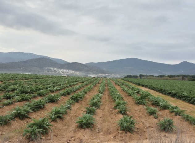 Parcelle - Revente - Hondón de las Nieves - Hondón de las Nieves