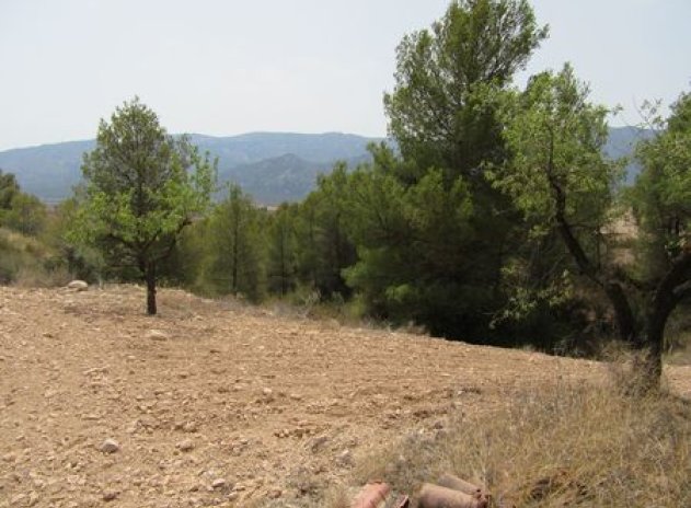 Parcelle - Revente - Murcia - Murcia