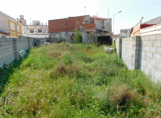 Parcelle - Revente - Torremendo - DSC-93178