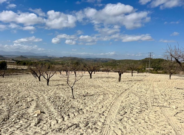 Plot * - Resale - Bullas - DSC-47161